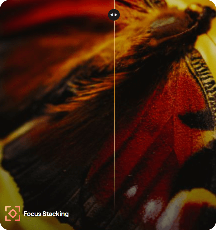 Screenshot-2025-09-09-105836-modified-1