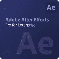 Adobe After Effects - Pro for enterprise