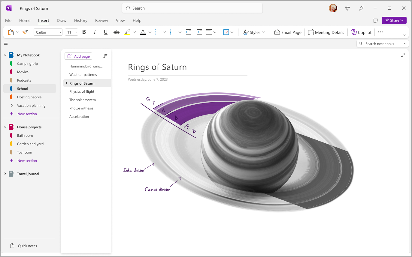 Microsoft OneNote 2024 | Blitzhandel24 – Szoftver- és Felhőlicenc ...