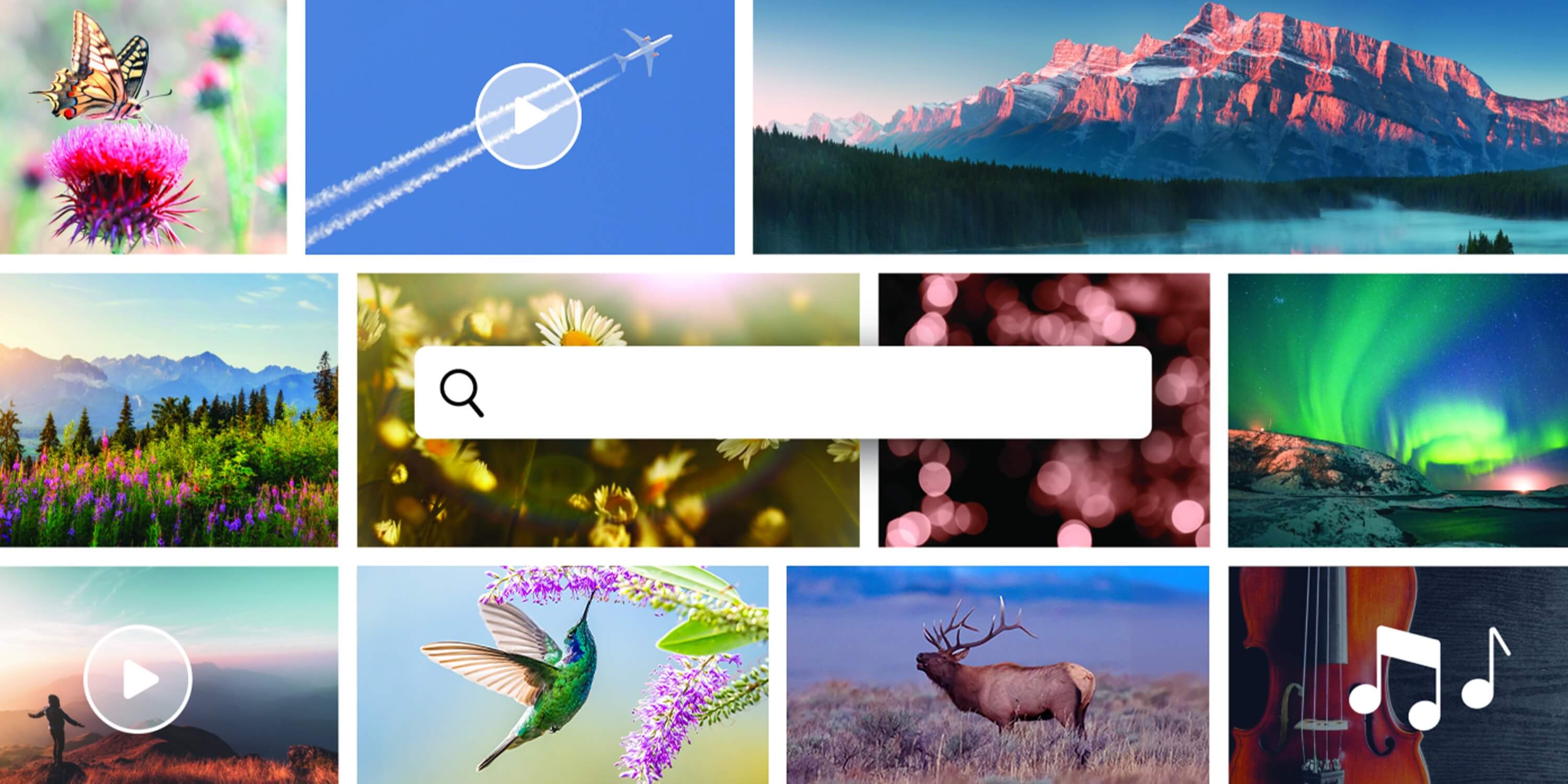 PRE_AdobeStock_3000x1500_withoutname98-1
