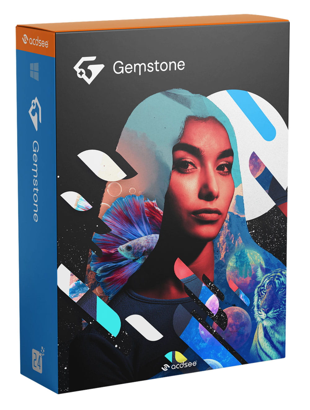 Acdsee gemstone photo editor 12 blitzhandel24 software und cloud