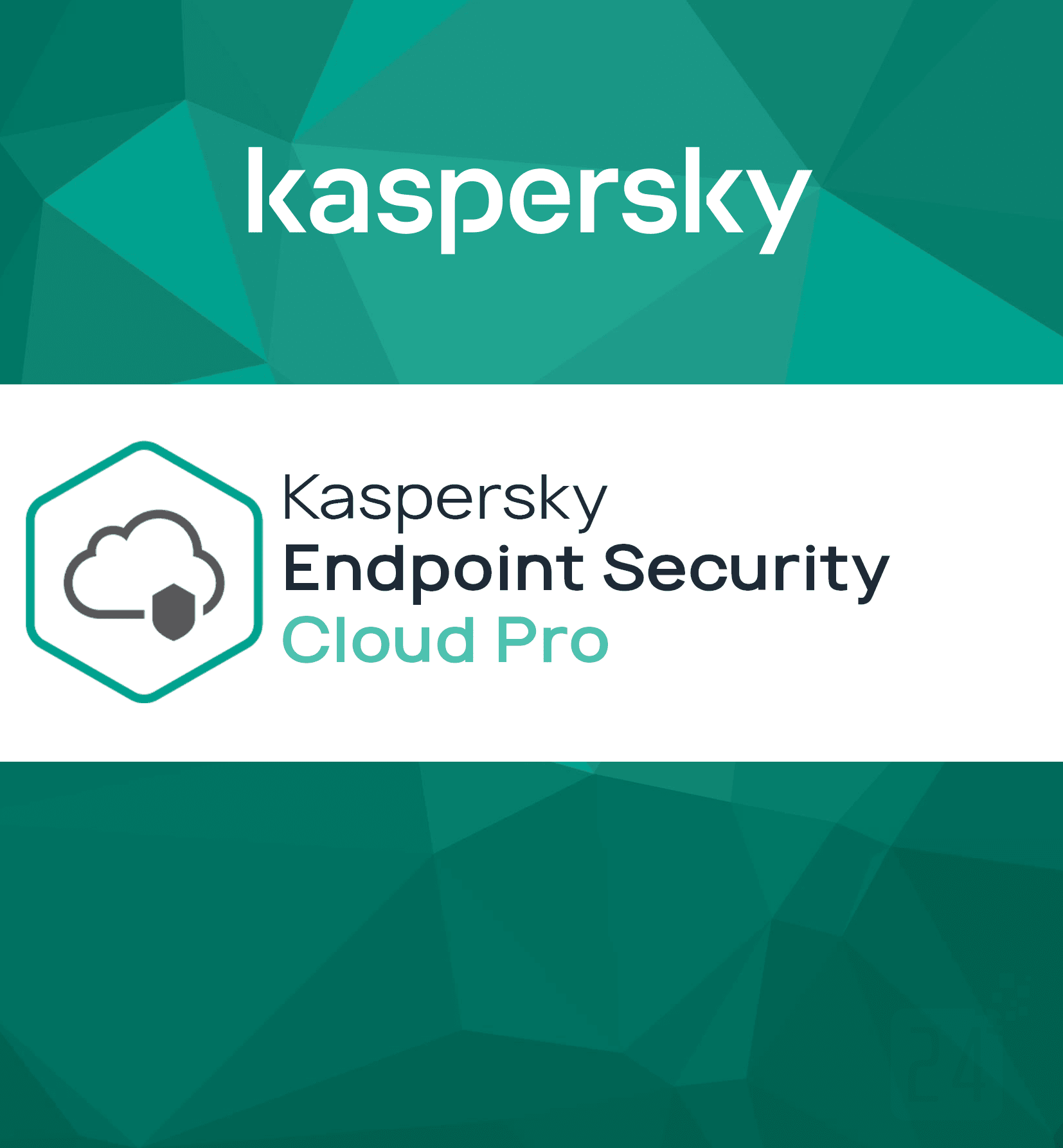 Kaspersky Endpoint Security Cloud Pro | Blitzhandel24.co.uk - Software ...
