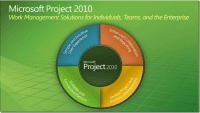 Microsoft Project 2010 Professional günstig kaufen