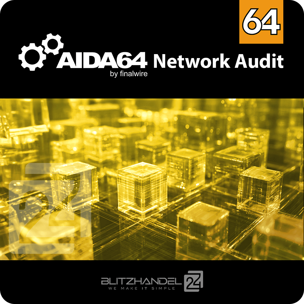 AIDA64 Network Audit