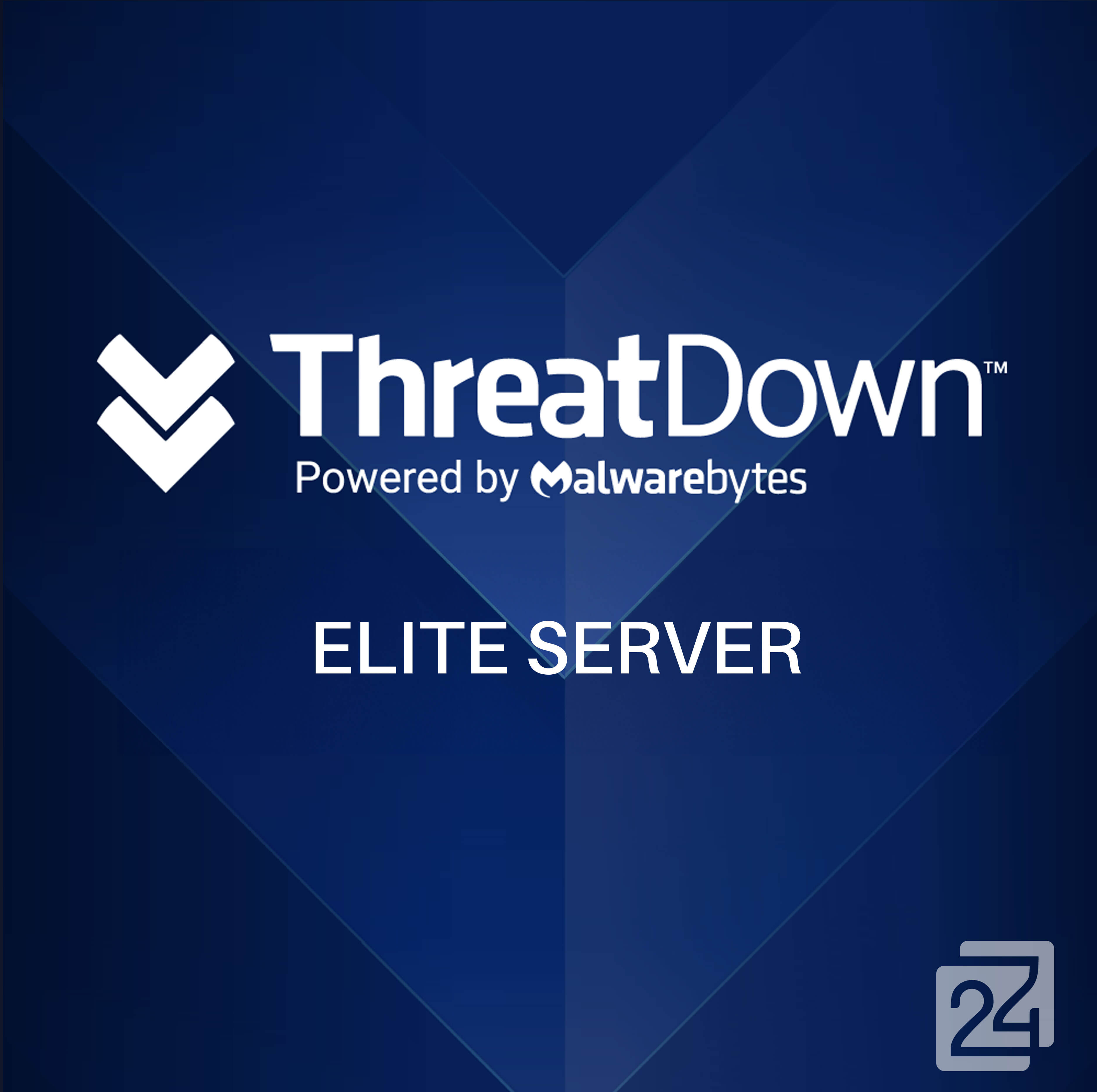 threatdown-elite-server-blitzhandel24