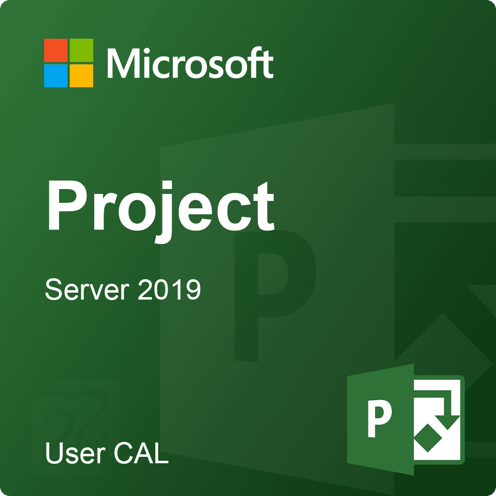 Microsoft Co Project Server 2019 User CAL DG7GMGF0F4LF:0001