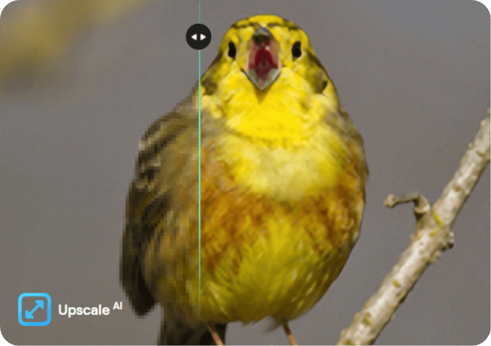Screenshot-2025-09-09-105619-modified-1
