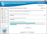 Registry Utilities Professional, English