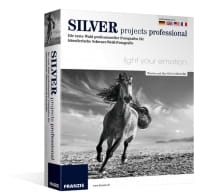 Professional de proyectos de plata