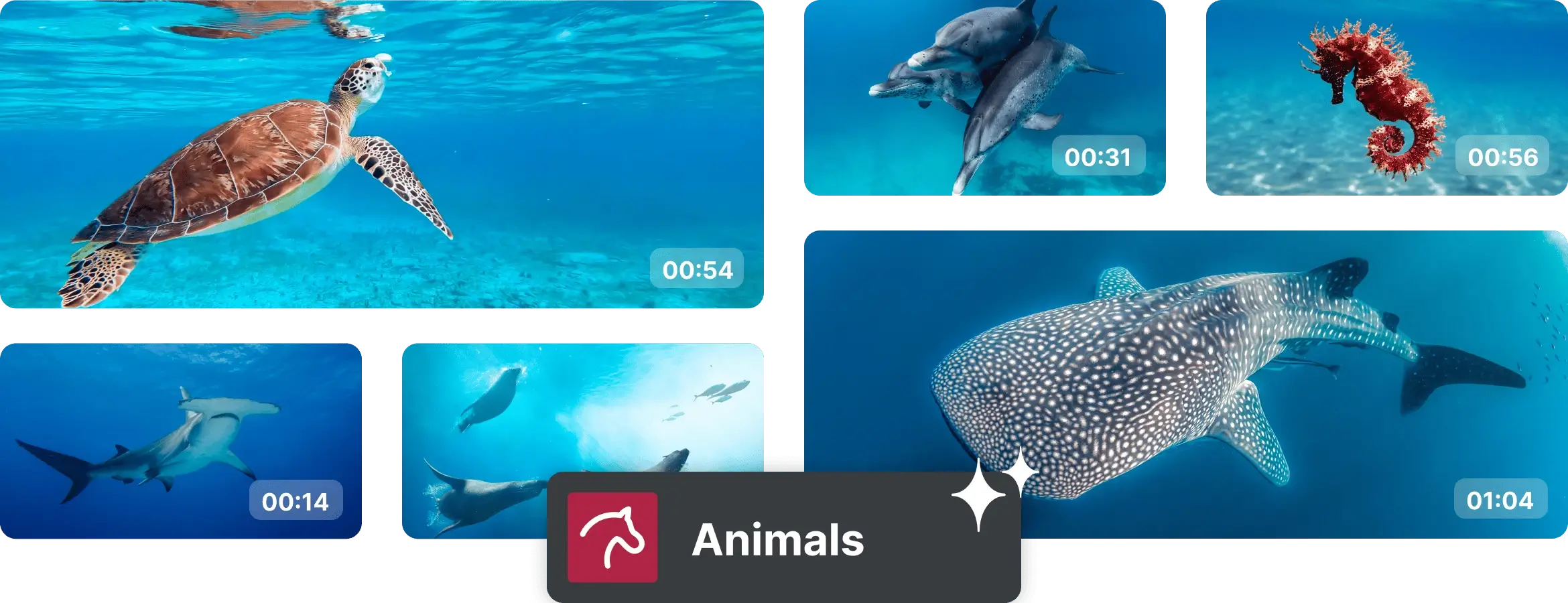 magix video deluxe 2026 premium